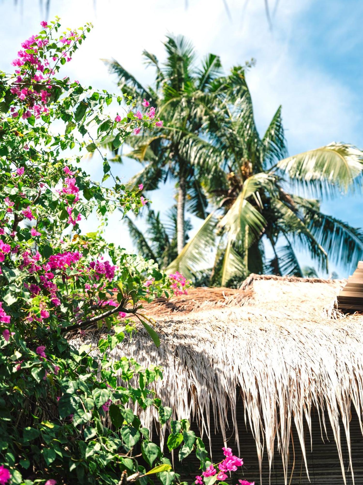 Mewali Villa's Kuta (Lombok)